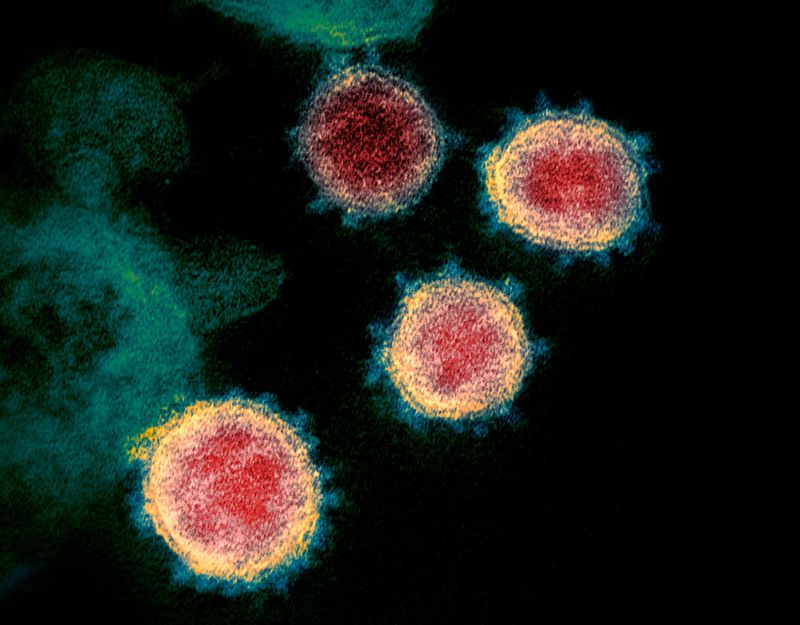 Yeni Koronavirüs Mutasyon Geçiriyor Ama Endişelenmeyin