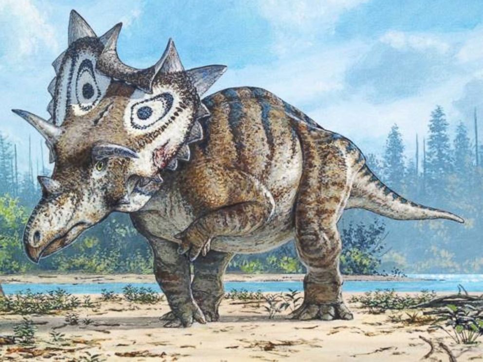 Dinozor Sanatlarının Dinozora Benzeyip Benzemediğini Nasıl Bilebiliriz?