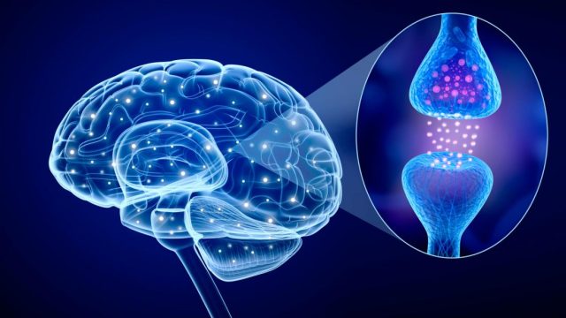 teknobuk-yapay-sinaps-kapak