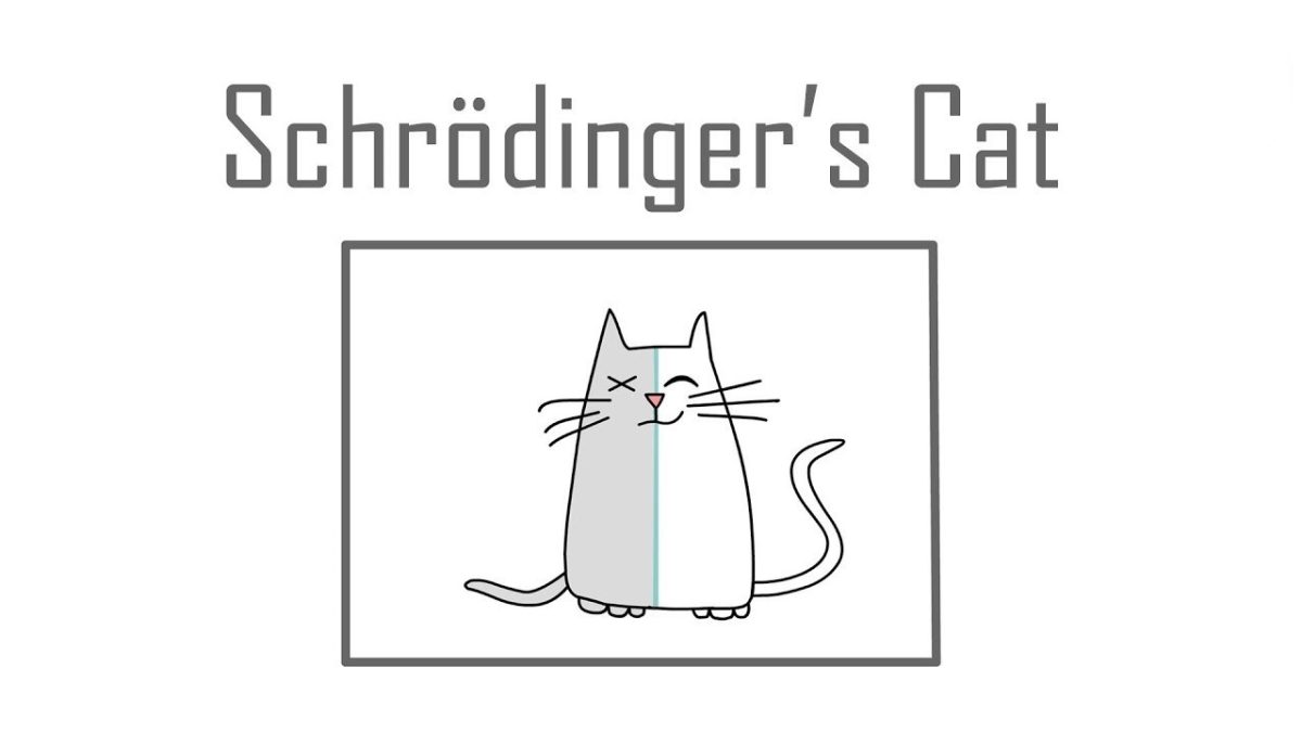 teknobuk-schrödinger’in-kedisi-kurtarılabilir-kapak