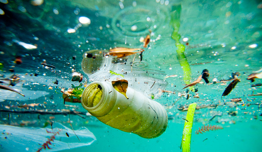 Türk Mucit Doğada Yok Olan Plastik Üretti: Hayvanlar Yiyebiliyor!