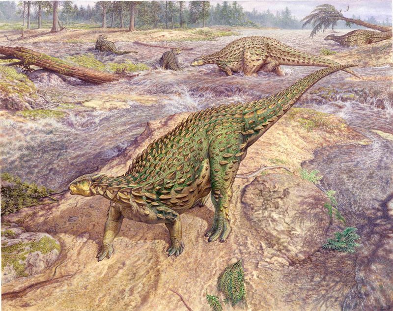Şimdiye Kadar Keşfedilen Tek Eksiksiz Dinozor İskeleti Nihayet Toplandı