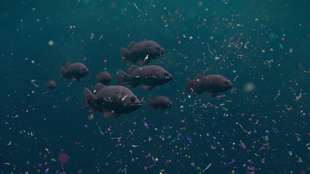 mikroplastik-okyanus-1