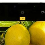 iphoneda-birkac-live-photo-tek-videoya-nasil-donusturulur-1